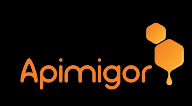 Logo Apimigor Sem Fundo