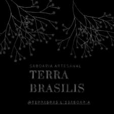 Logo Terra Brasilis Sem Fundo